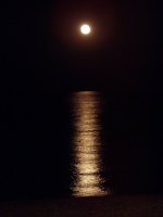 Mond